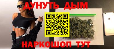 стафф Новодвинск