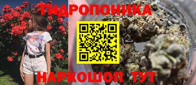 трава Новозыбков