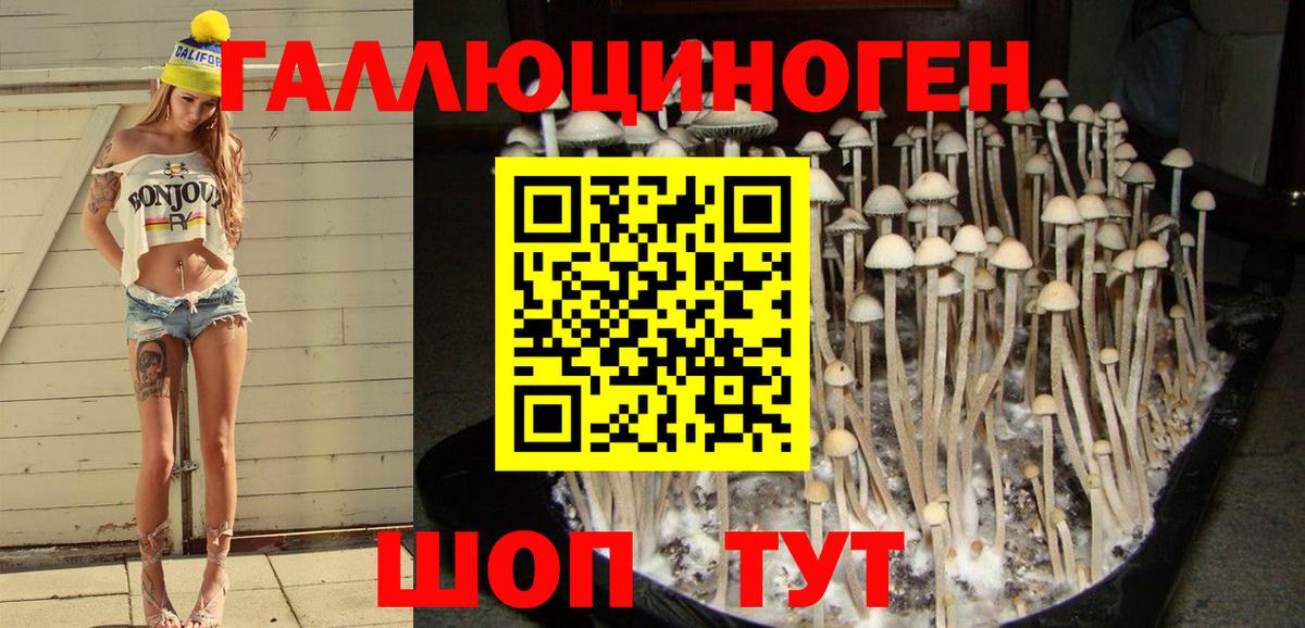 Галлюциногенные грибы мицелий Сунжа