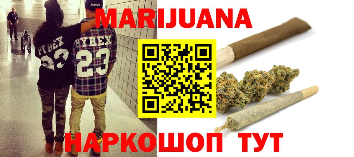 Каннабис ГИДРОПОН Сунжа
